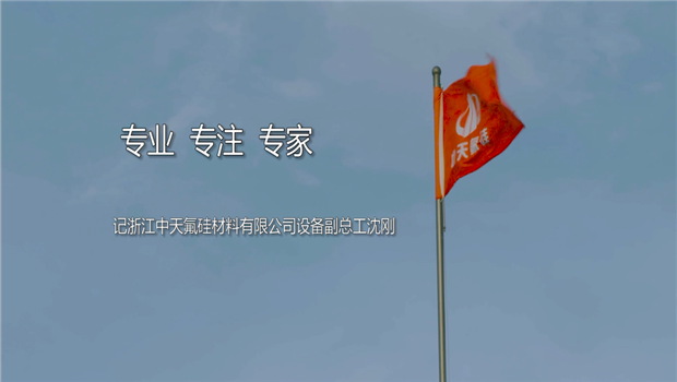 《专业 专注 专家 》——2017年度巅峰国际十大优秀工程师沈刚专题片